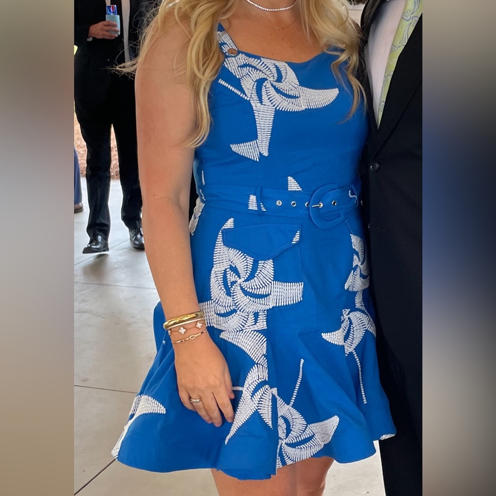 Blue and White Mini Dress